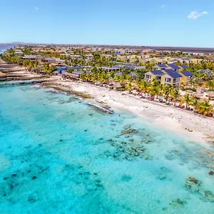 Delfins Bonaire, Tapestry Collection By Hilton Kralendijk